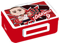 Lunchbox Darwin